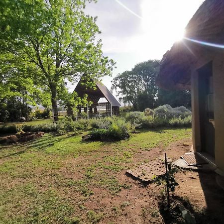 Drakensberg Bush Lodge And Backpackers Winterton Εξωτερικό φωτογραφία