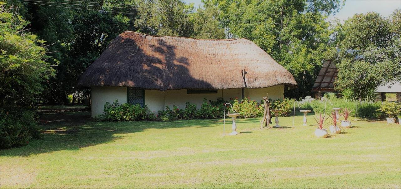 Drakensberg Bush Lodge And Backpackers Winterton Εξωτερικό φωτογραφία